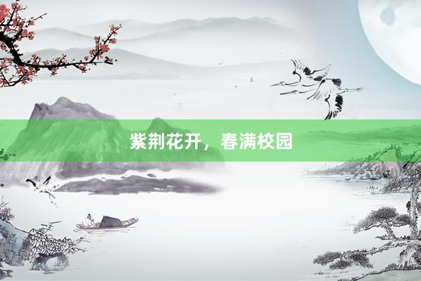 紫荆花开，春满校园